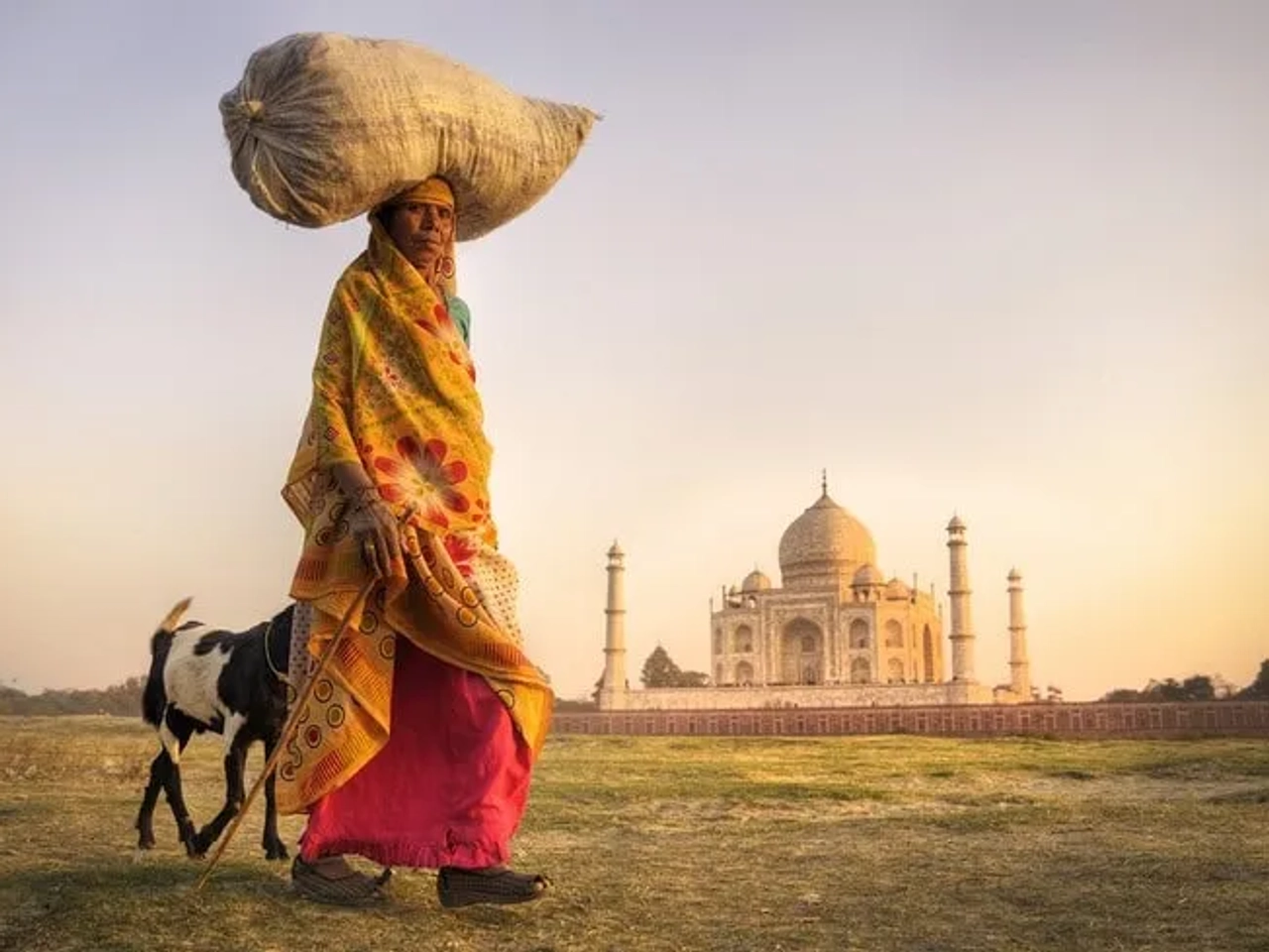 Hombre con carga sobre la cabeza camina frente al Taj Mahal al amanecer.