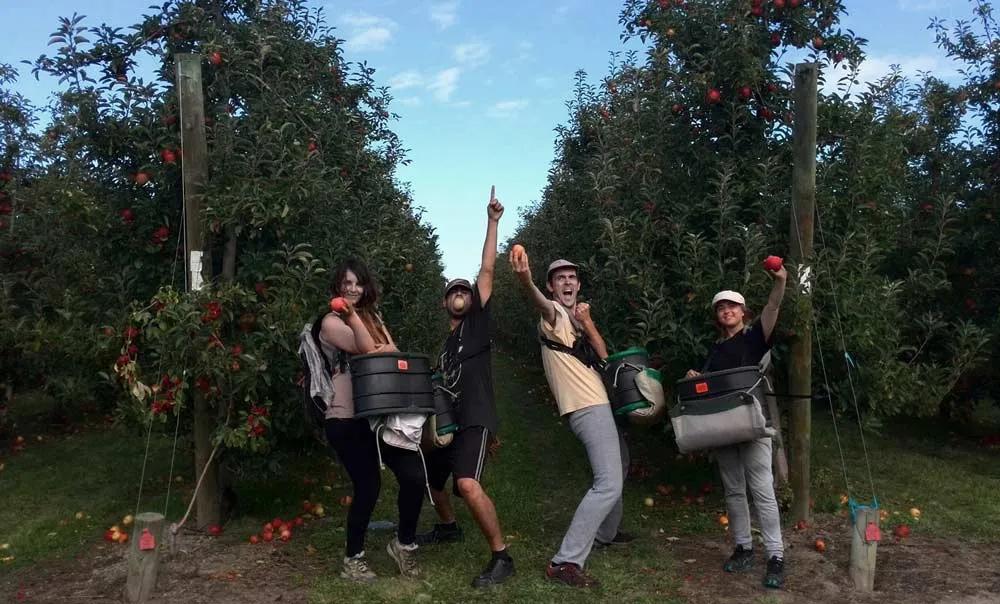 trabajar viajando con la Working Holiday Visa