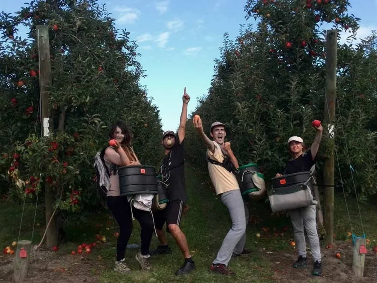 trabajar viajando con la Working Holiday Visa