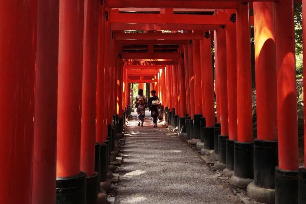 entrevista notas de un viajero