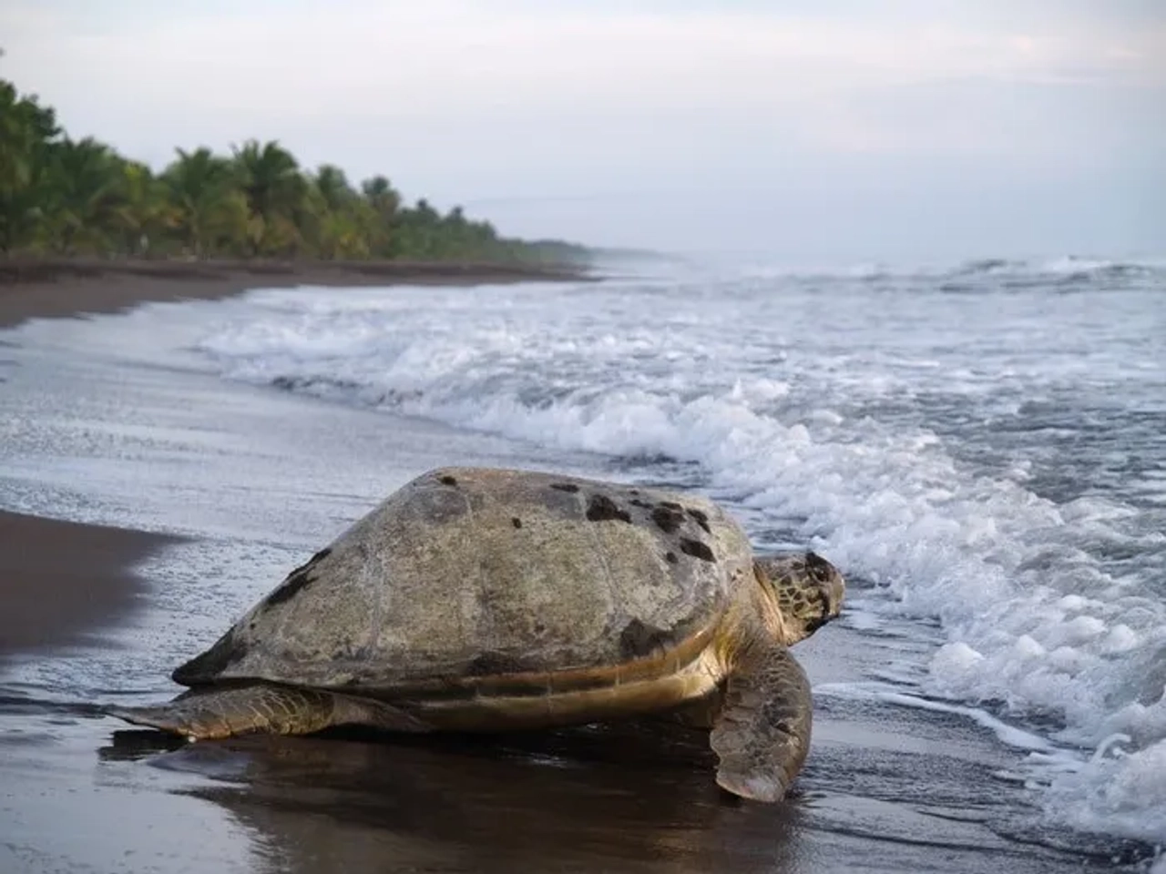 itinerario de viaje a Costa RIca