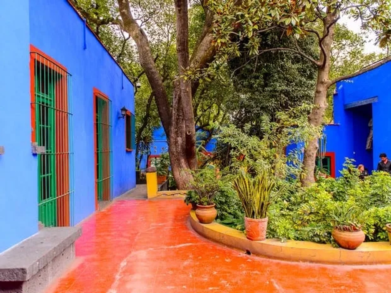 Ciudad de México qué hacer