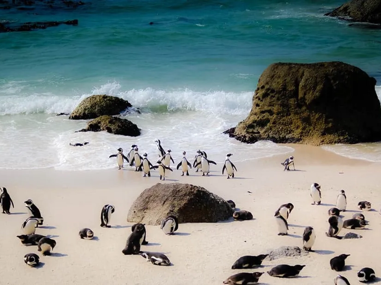 qué póliza médica internacional para sud África