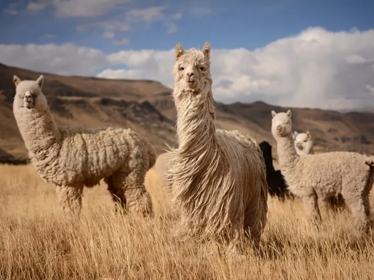 ¿Es seguro viajar a Perú?