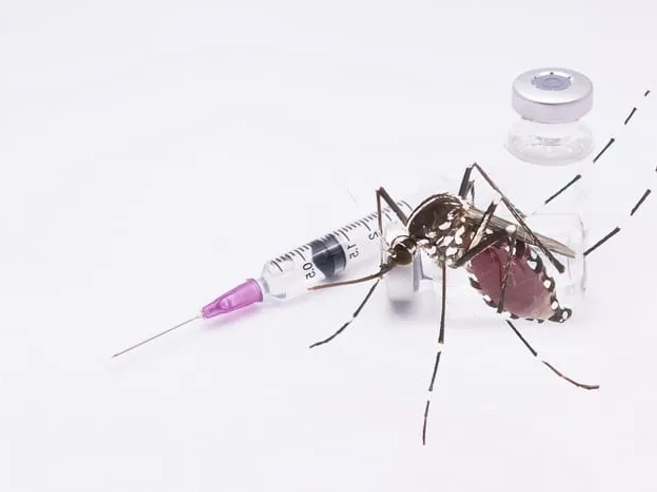 Vacunas Sudeste Asiático