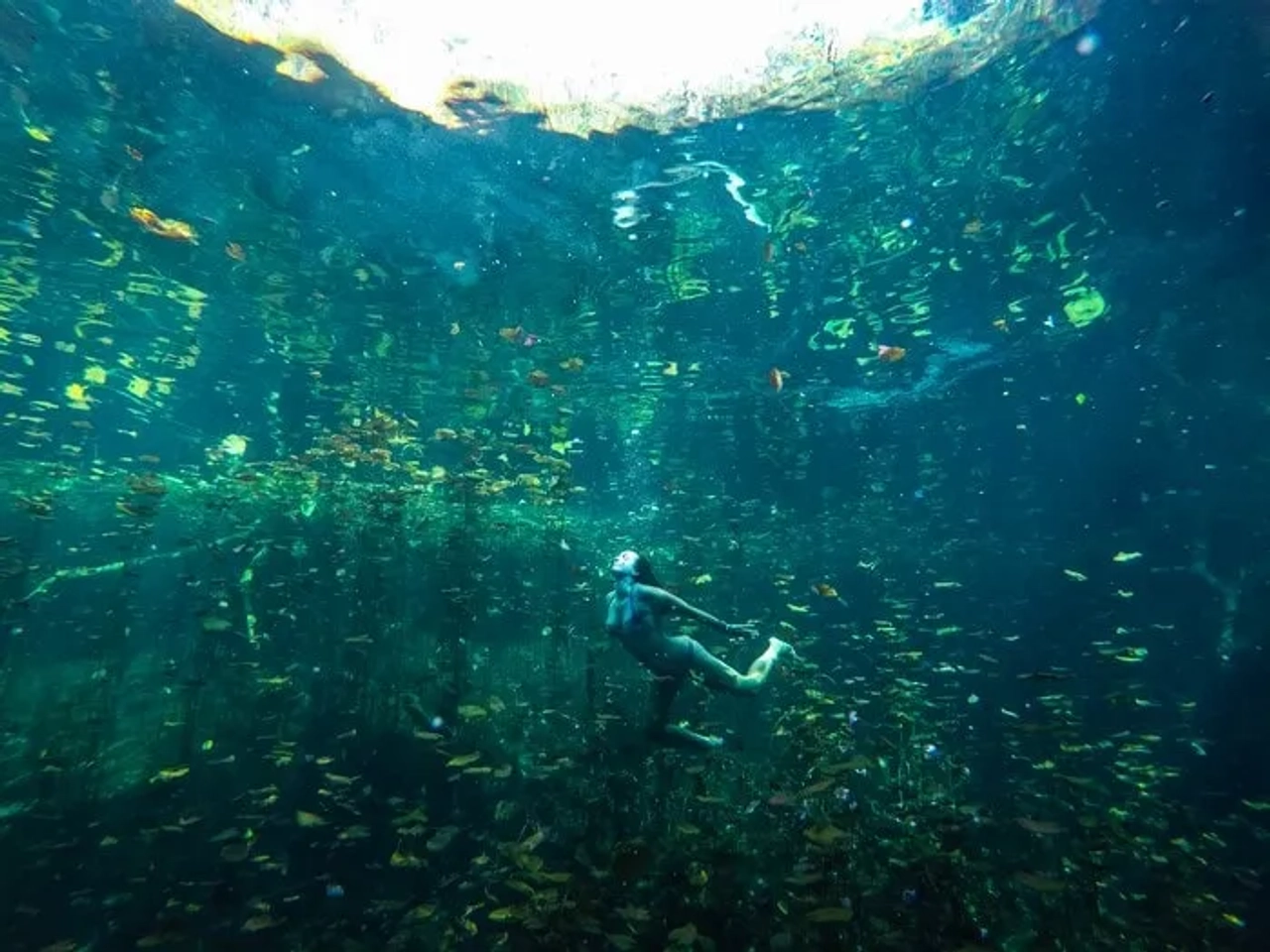 Buceadora rodeada de peces en un entorno acuático claro y vibrante.