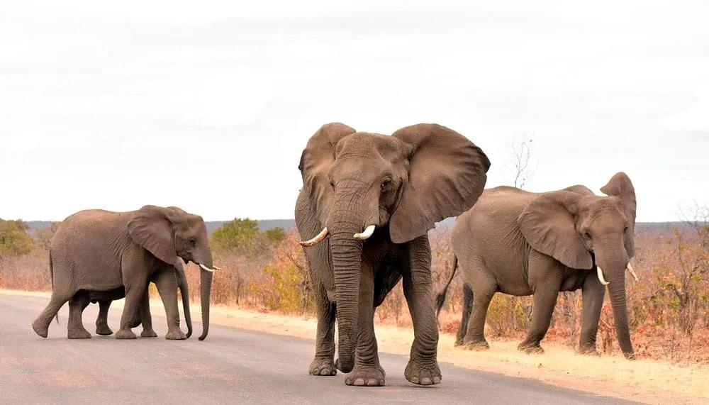 destinos para otoño