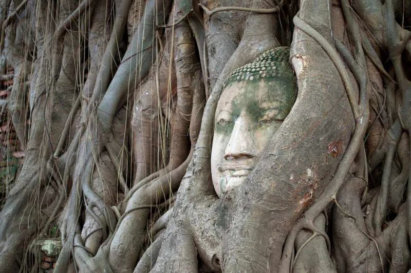 Qué hacer y ver en Tailandia: Los 10 imperdibles