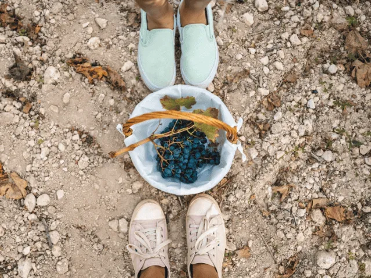 dois pares de pes com sapatilhas e uma taça de uvas