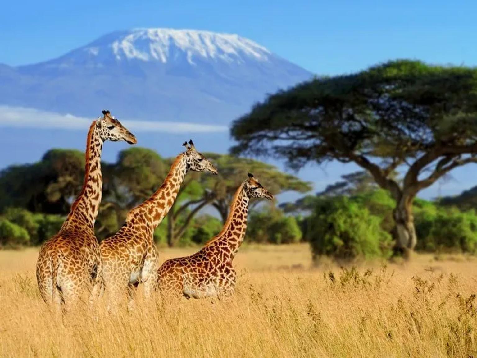 Itinerario por Tanzania