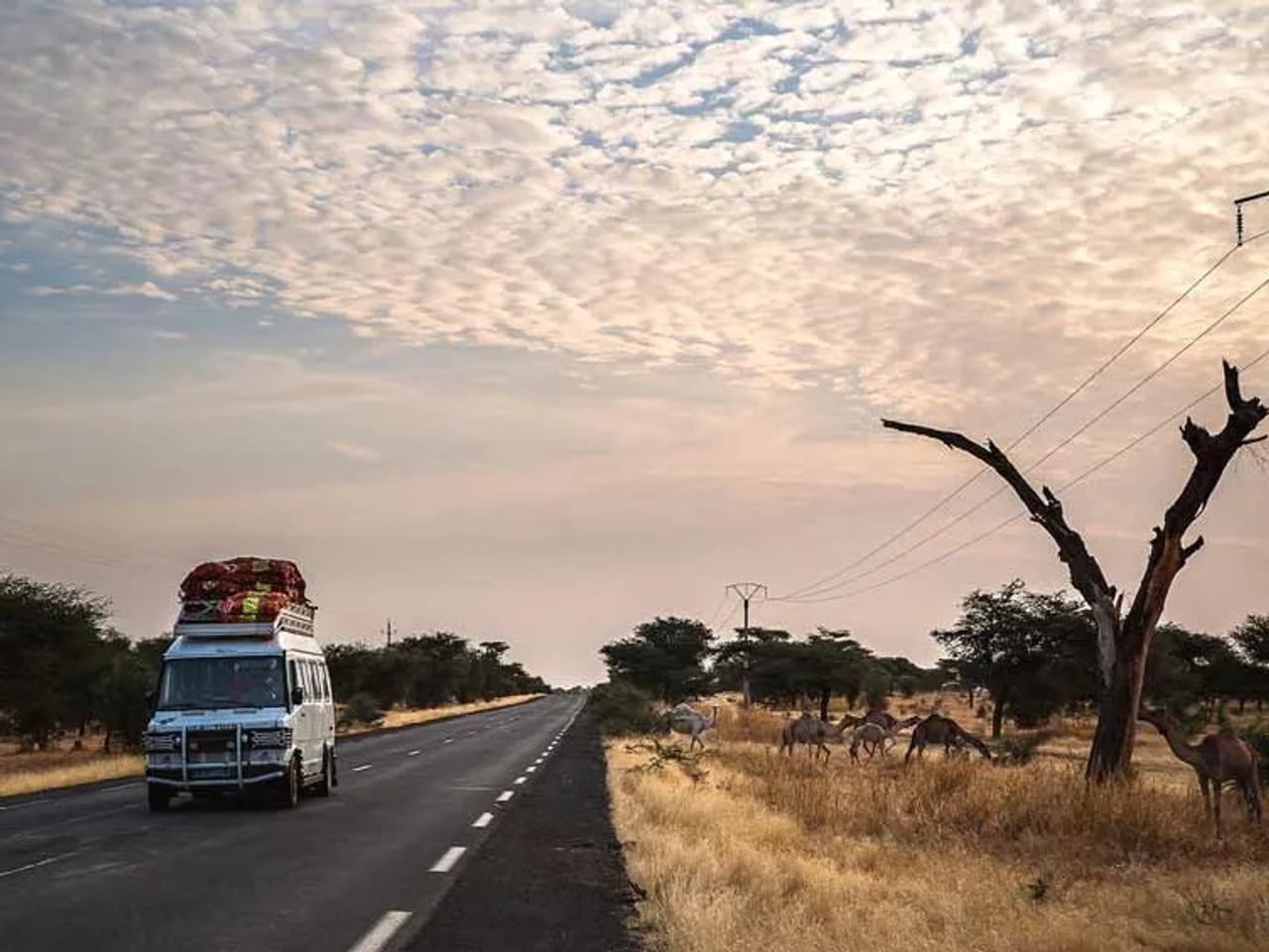 carretera de Senegal