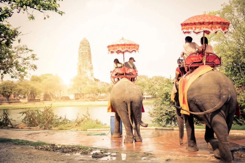 O turismo e os animais: atrações a evitar