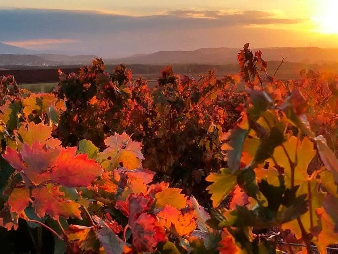 mejor época para La Rioja