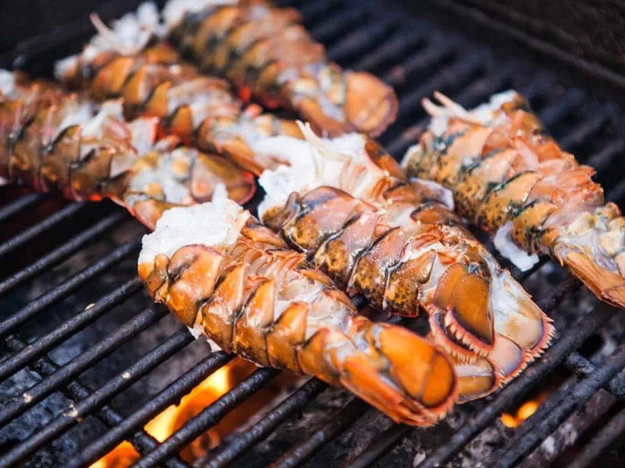 rabos de lagosta no grelhador