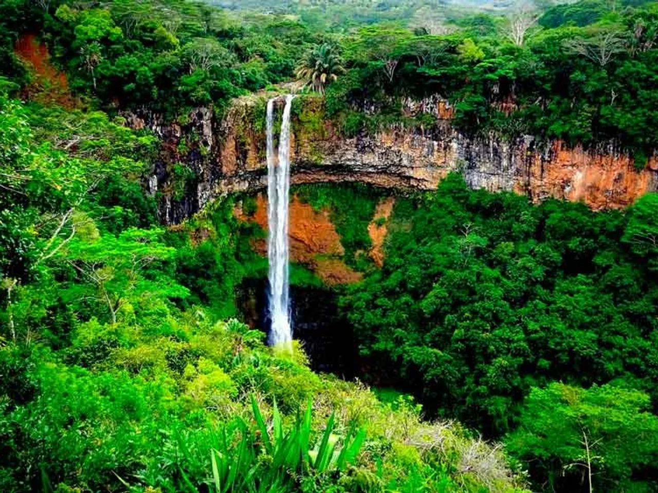 póliza internacional para Mauritius