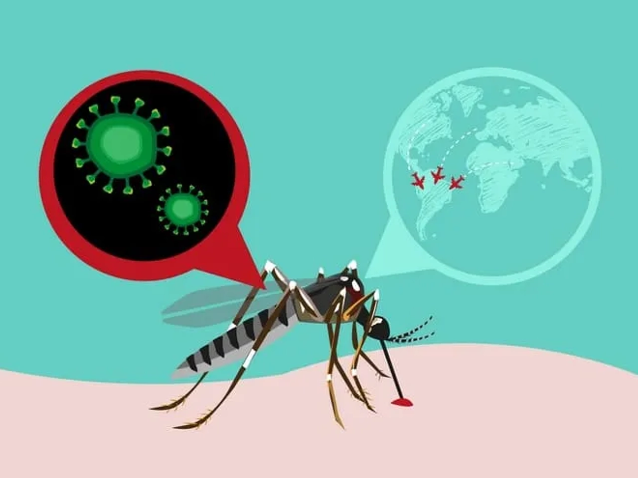 Vacunas para Sudamérica