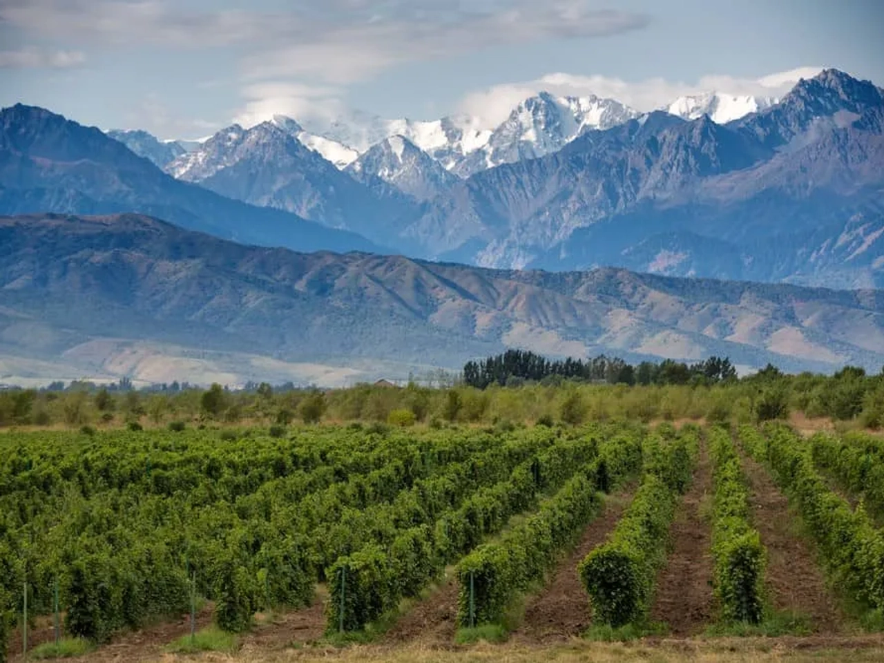 visitar Mendoza en Argentina