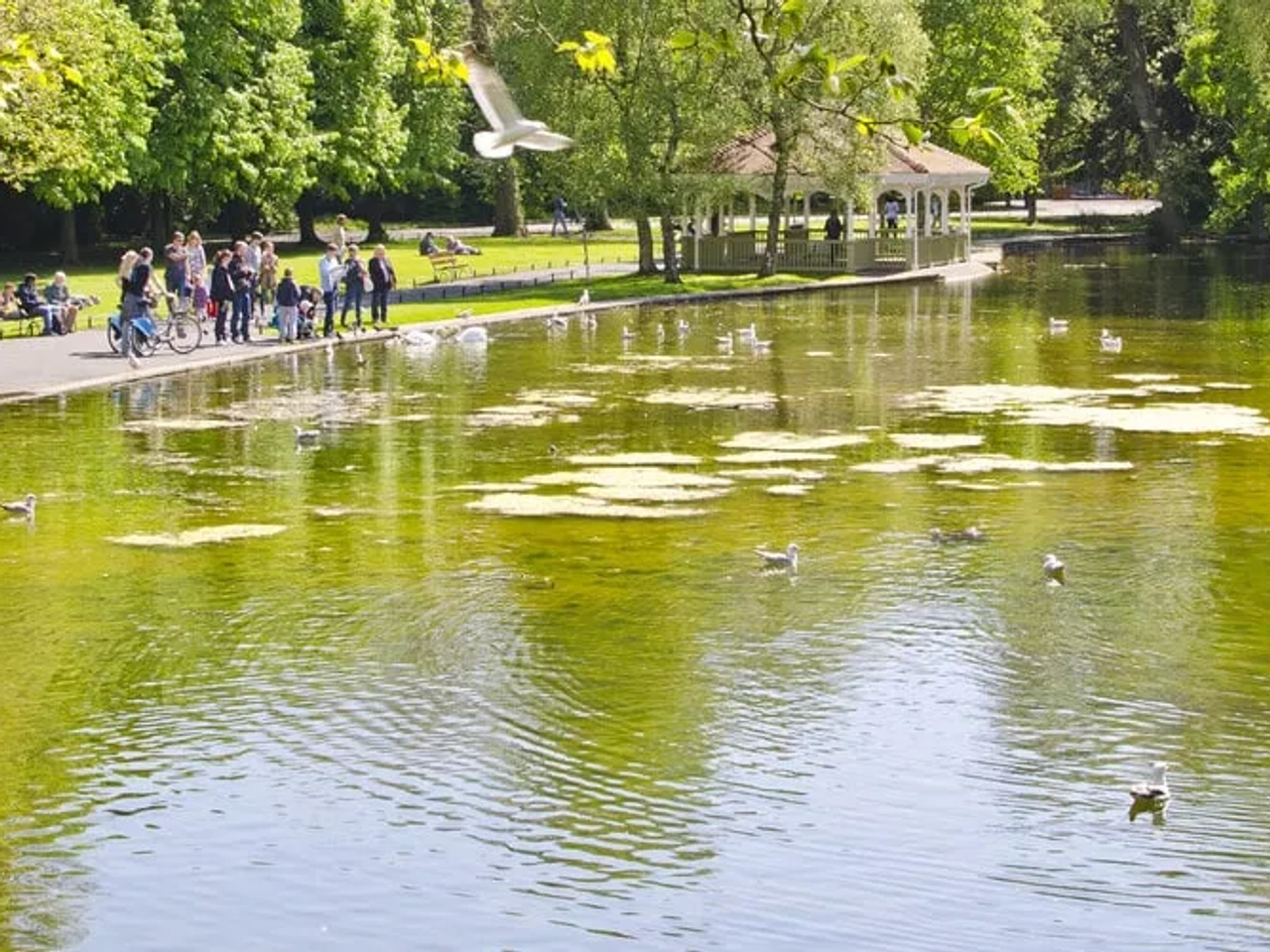 vistas sobre o lago de st stephens green