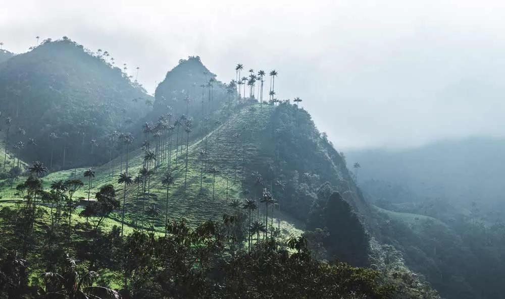 requisitos para Colombia, vacunas