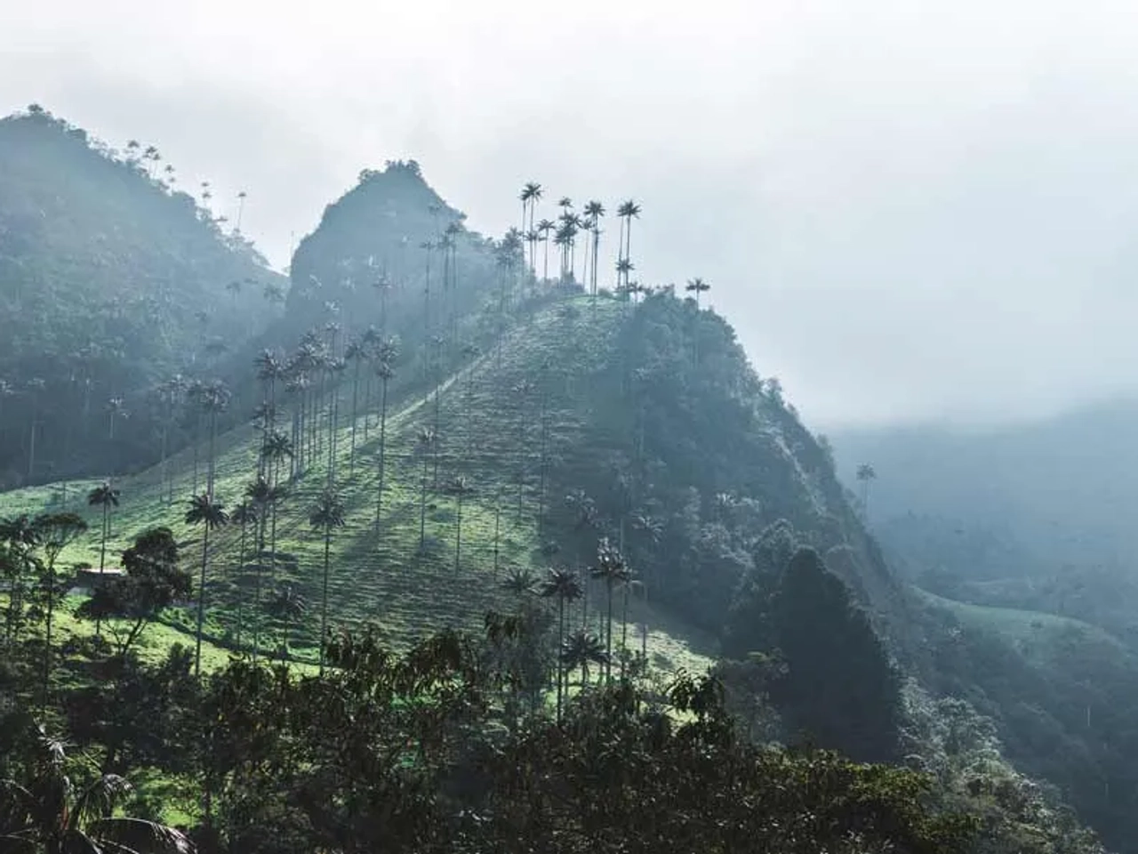 requisitos para Colombia, vacunas
