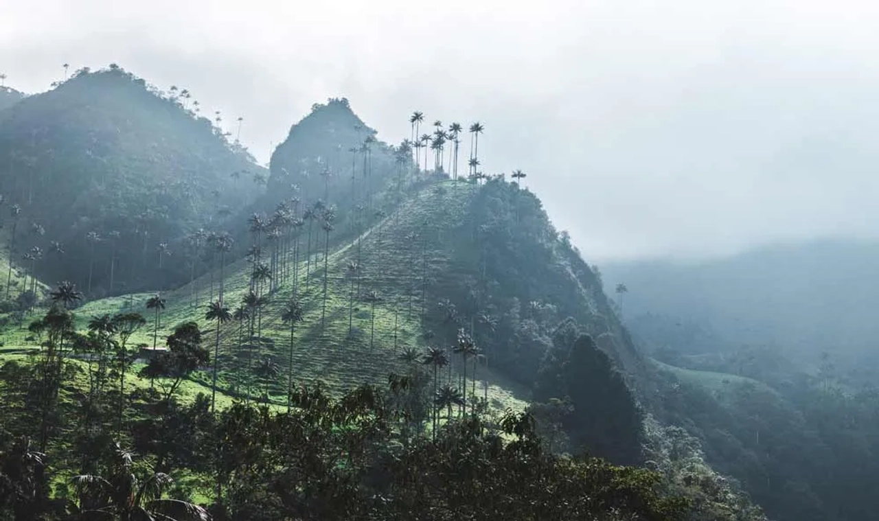 requisitos para Colombia, vacunas