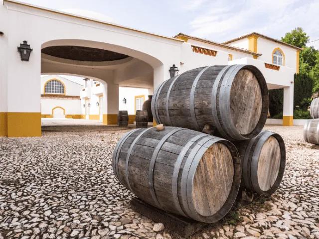 barris de vinho junto a uma casa branca e amarela tipica do alentejo em portugal