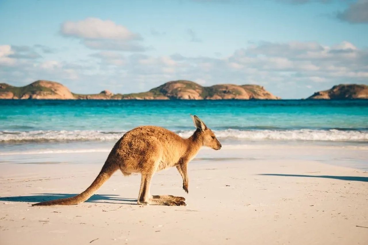 seguro de viaje Working Holiday Australia