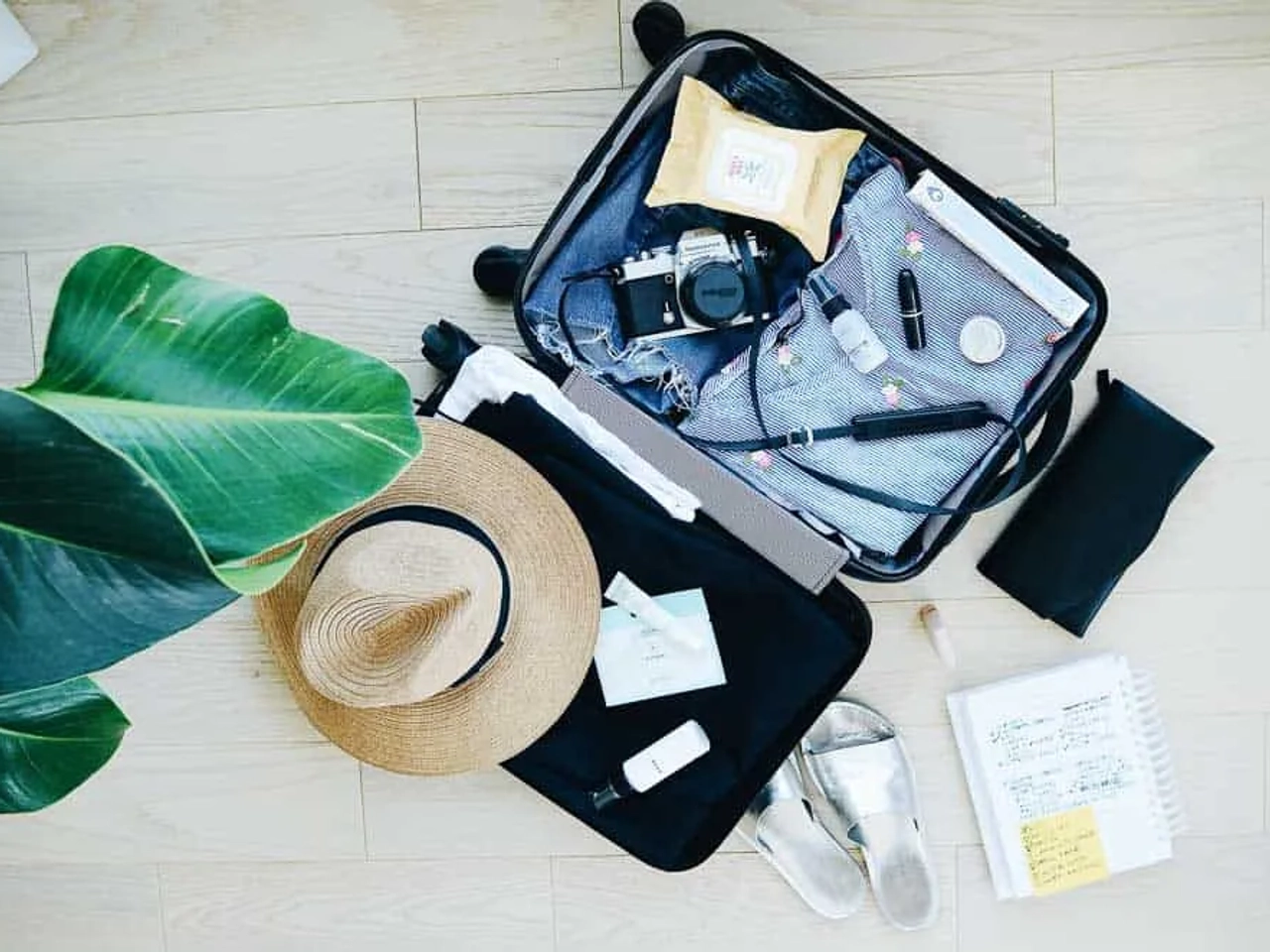 Maleta abierta con ropa, accesorios de viaje y una planta al fondo.