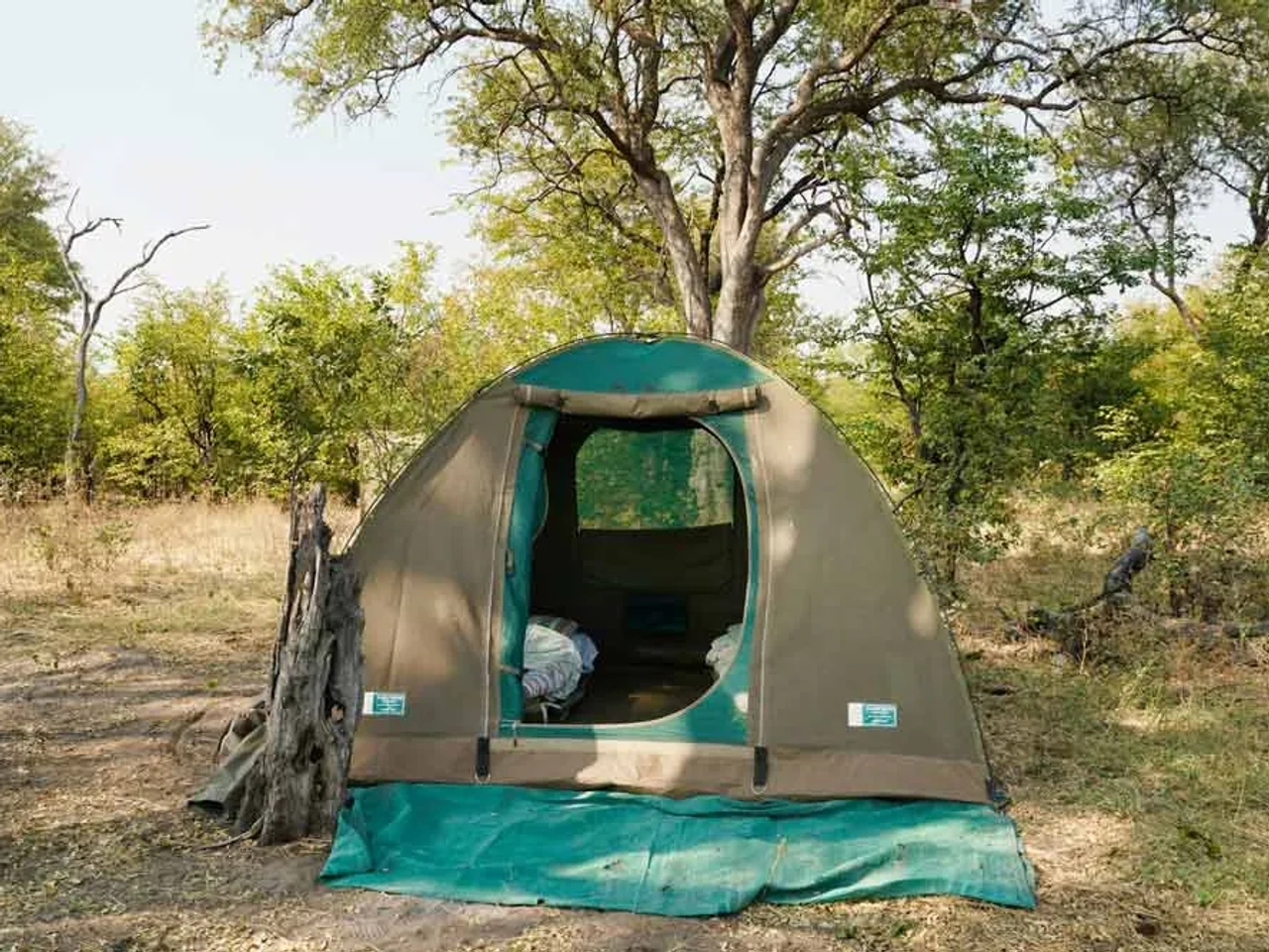 Cuál es la mejor póliza internacional para un viaje por Botsuana