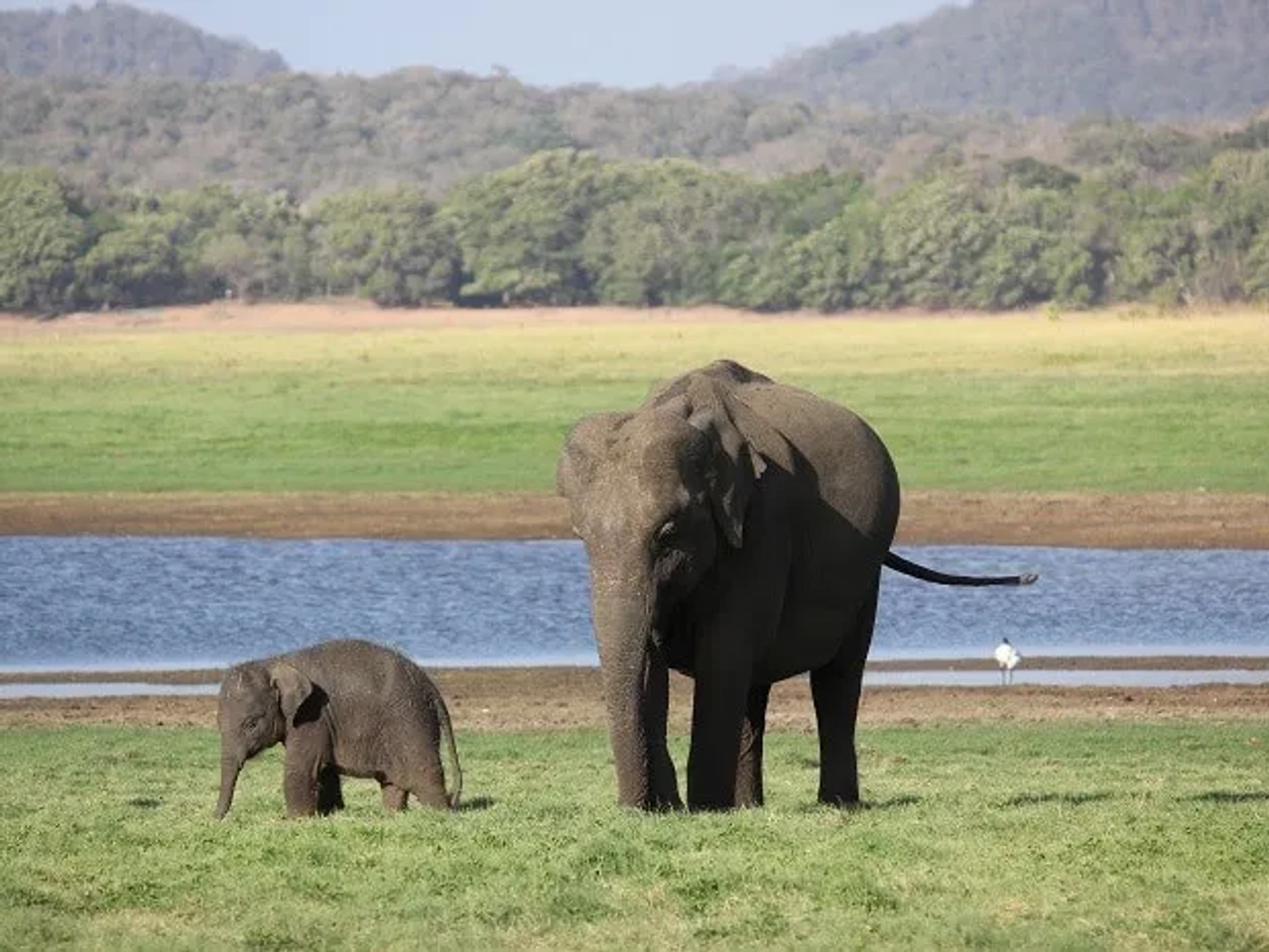 mochileros_sri_lanka