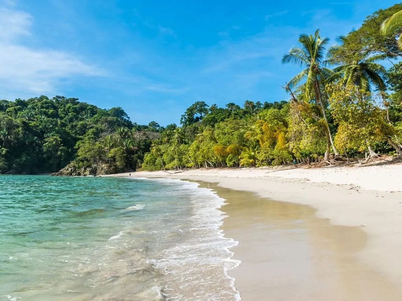 parque manuel antonio na costa rica