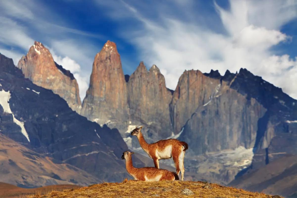 Torres del Paine: Cómo organizar tu trekking