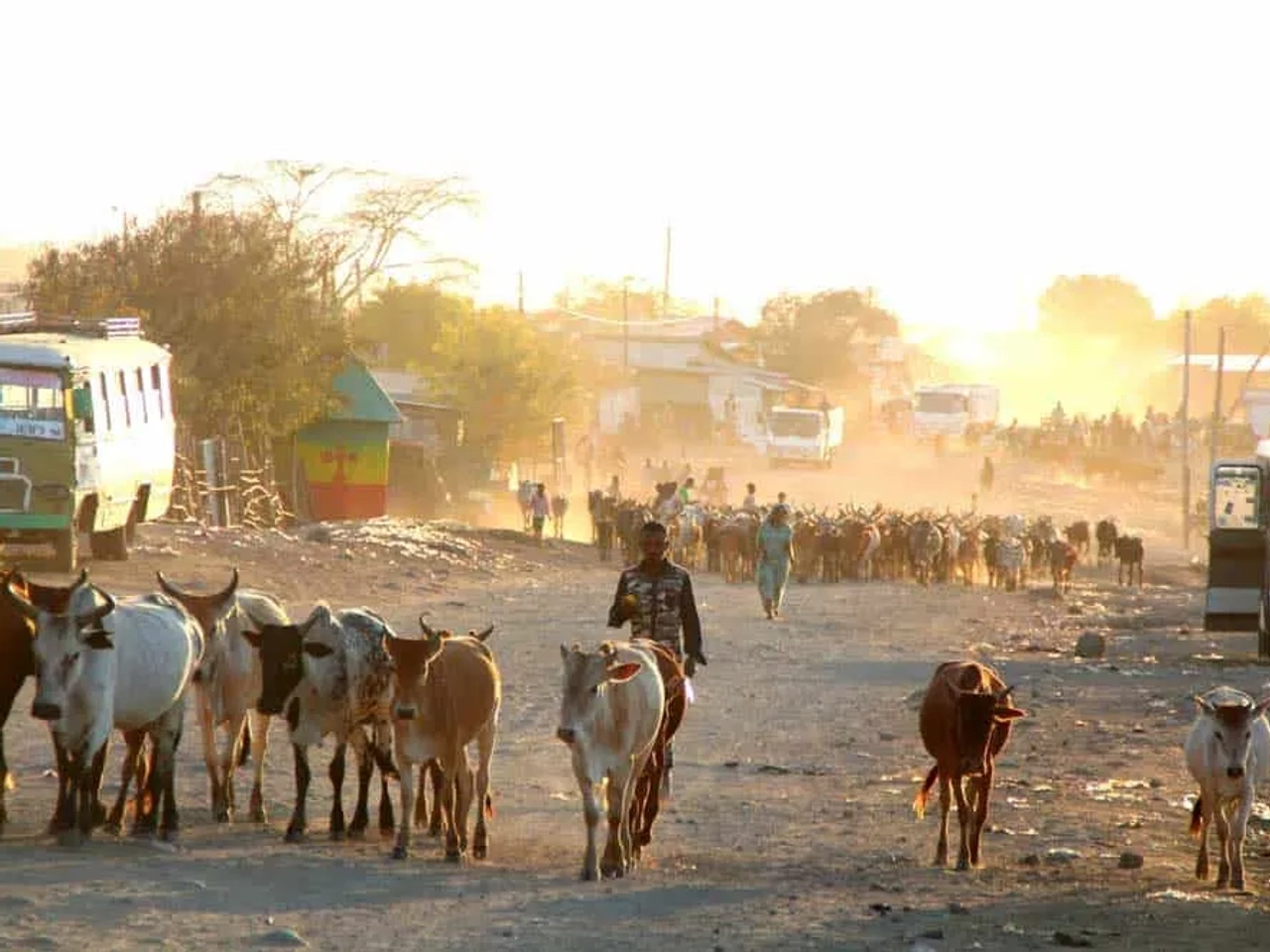 Seguro de viaje a Etiopía