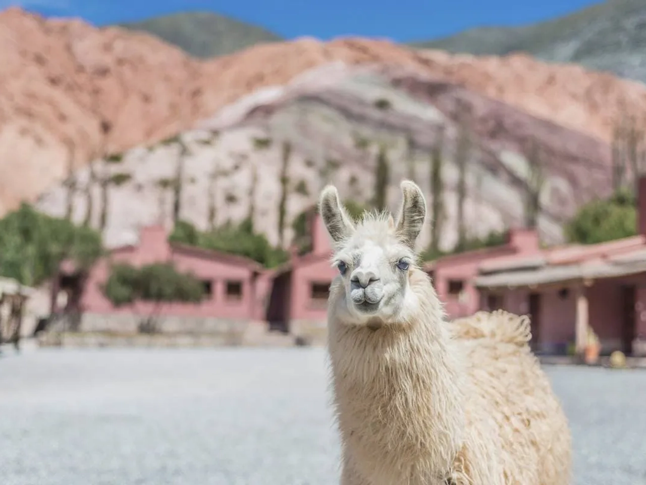 vacaciones Semana Santa