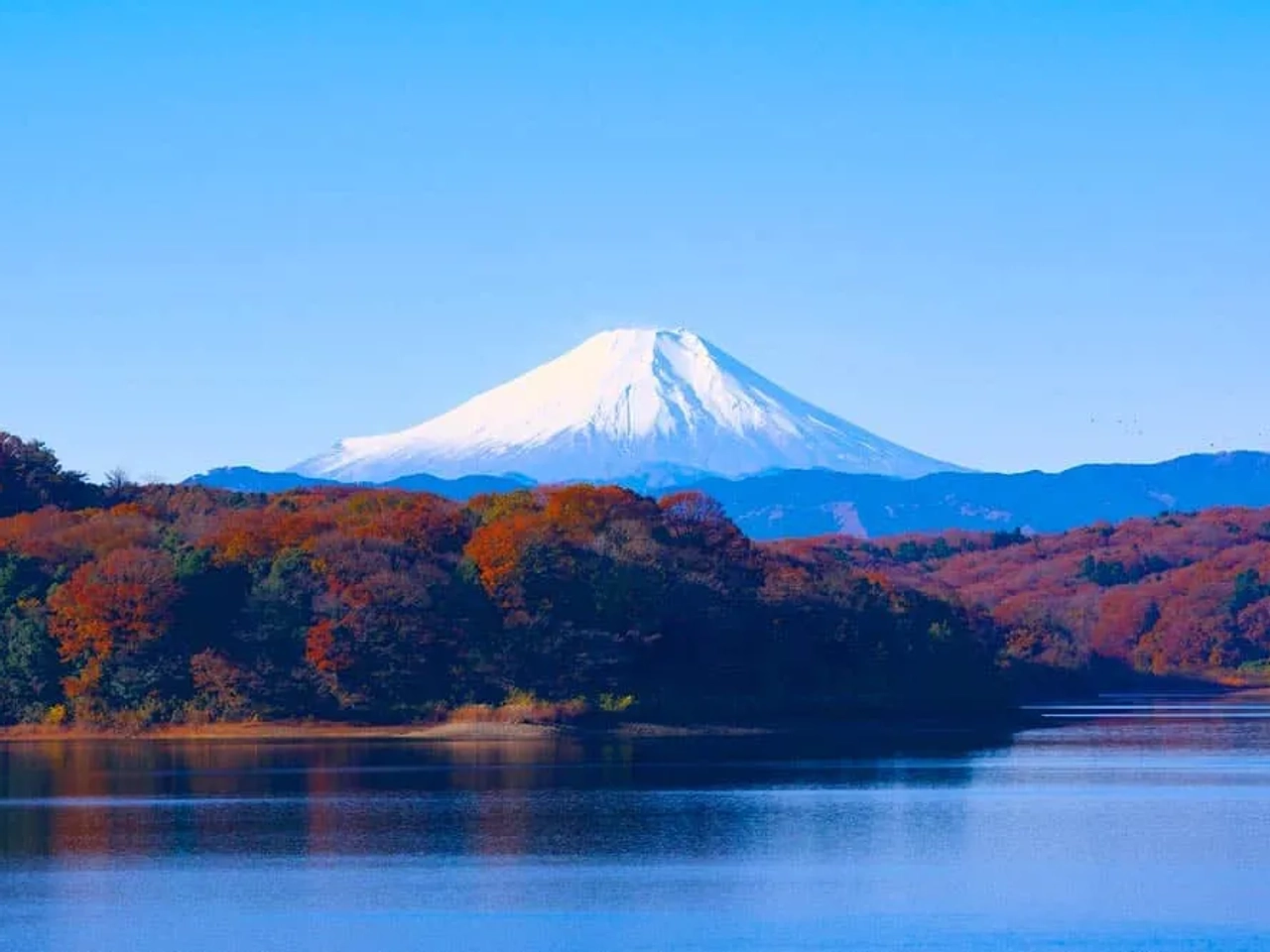 mejor época para viajar a Japón