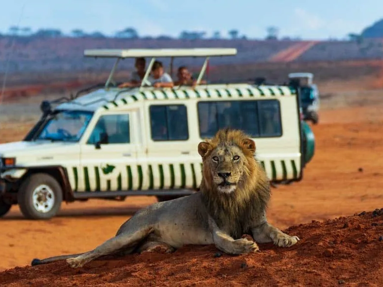 cobertura de accidentes en safari