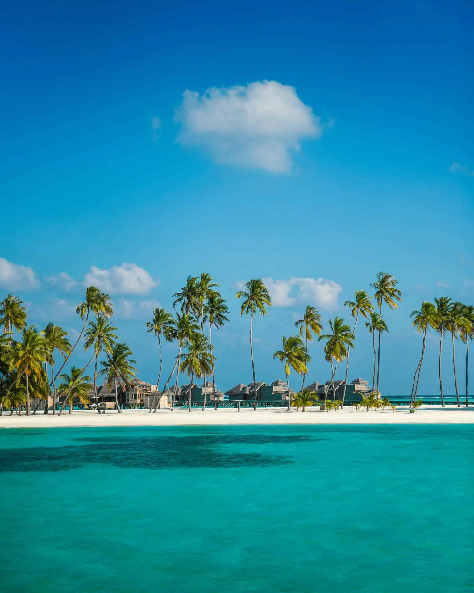 Documentos e requisitos para viajar para as Maldivas em 2026: praia tropical com palmeiras e águas cristalinas