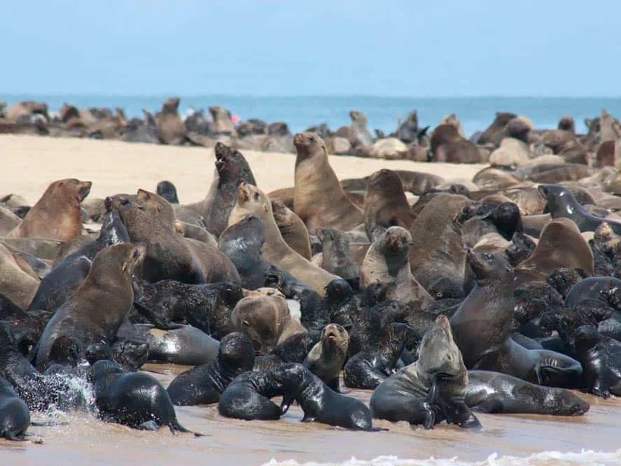 Costa de los Esqueletos, Namibia