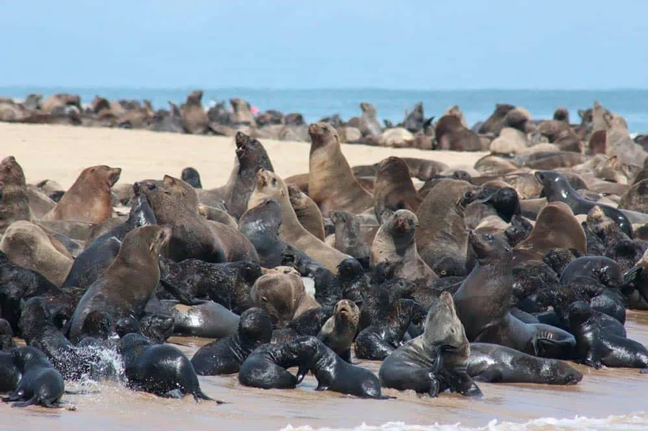 Costa de los Esqueletos, Namibia