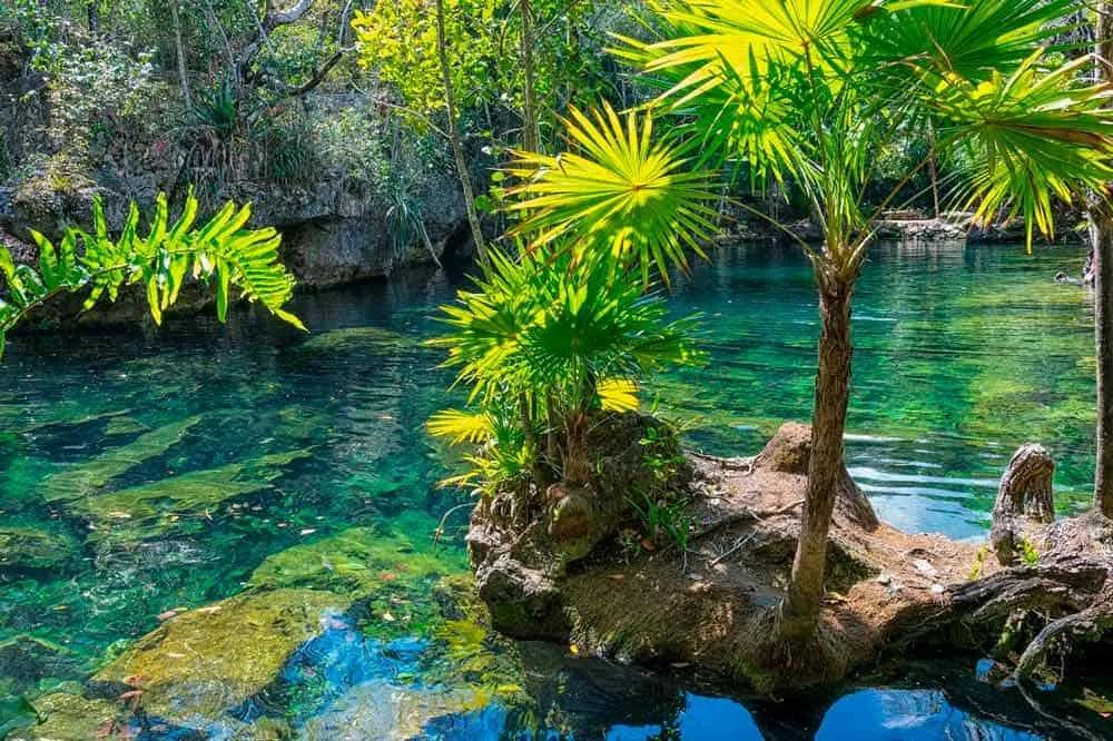 Cenotes que ver en Riviera Maya