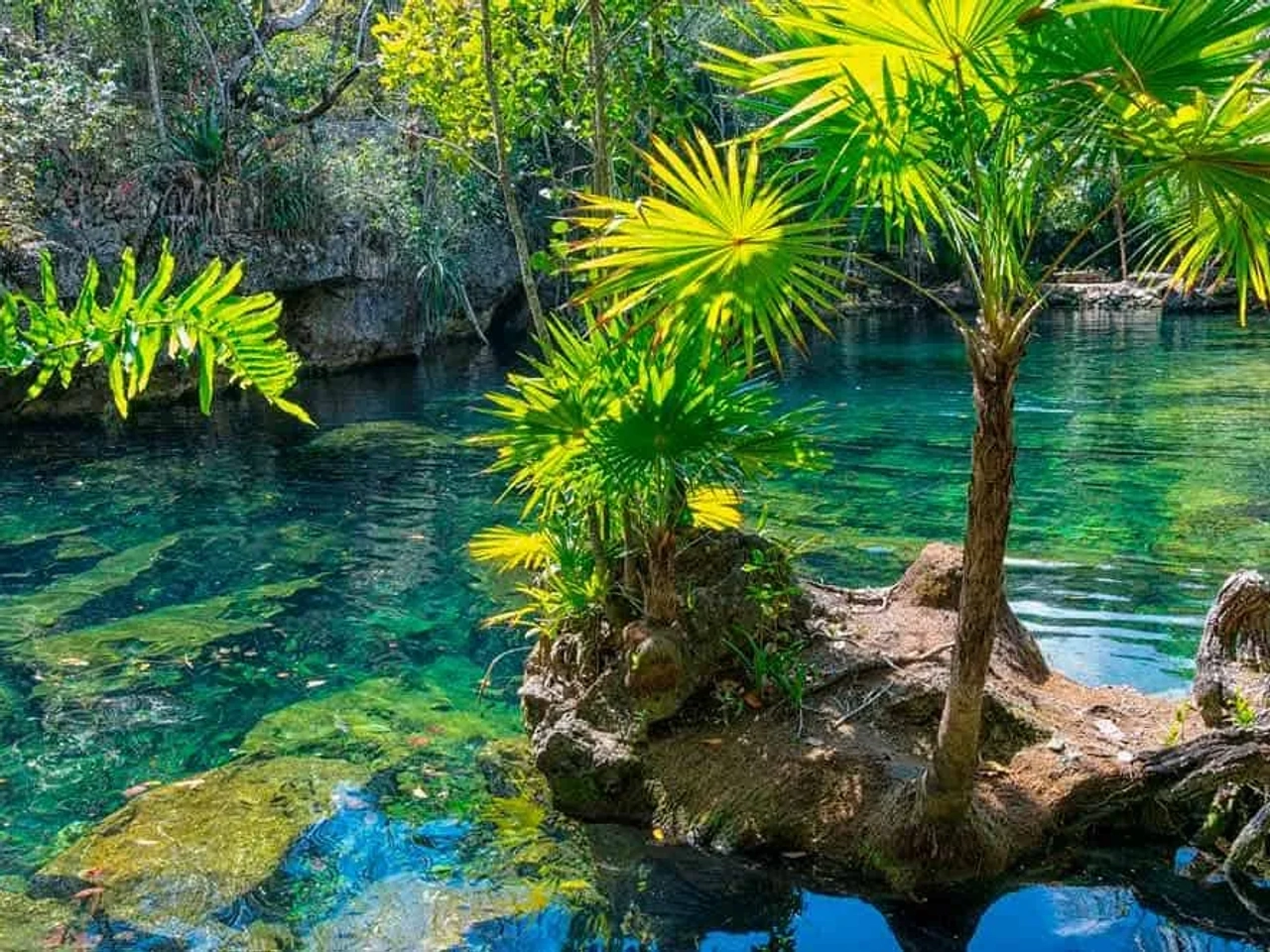 Cenotes que ver en Riviera Maya