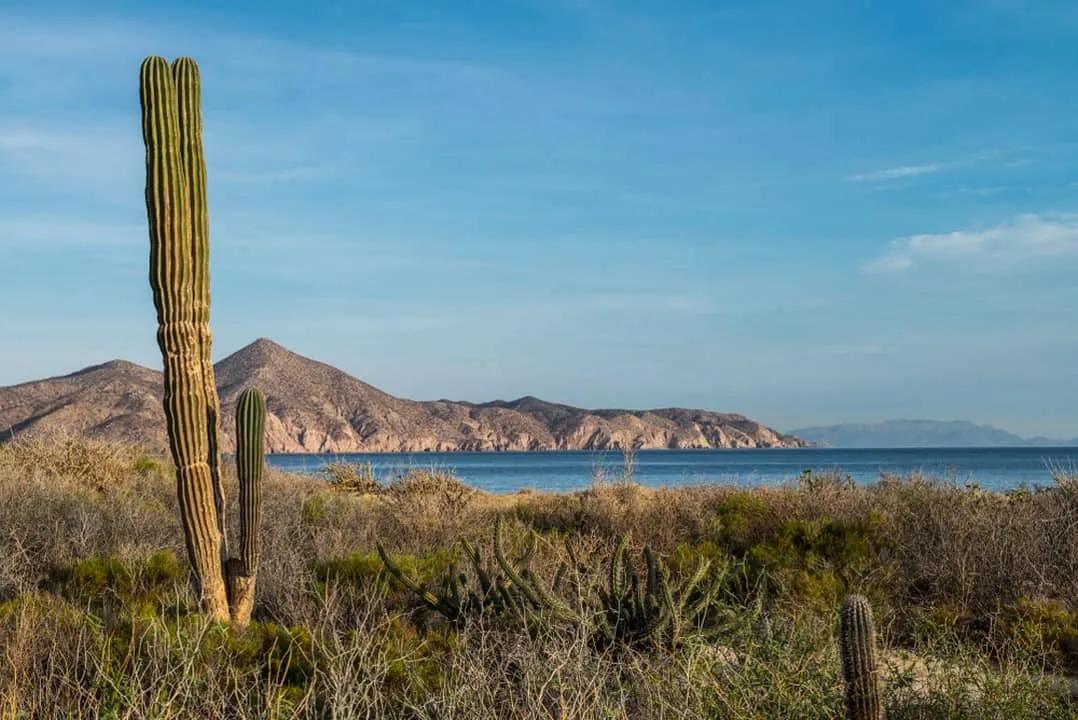 que hacer en Baja California