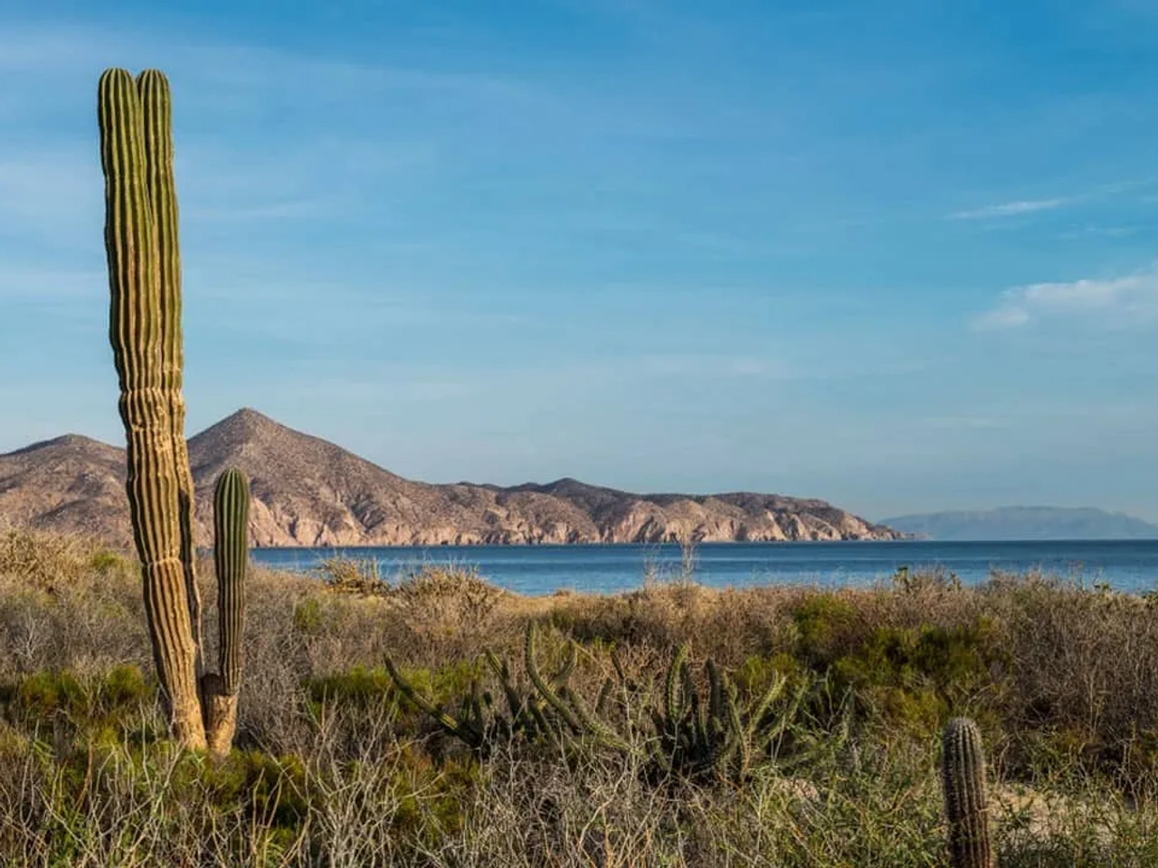 que hacer en Baja California