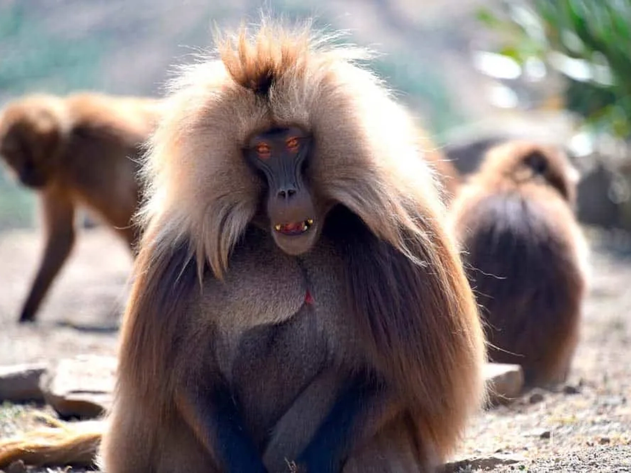 Qué hacer en Etiopía