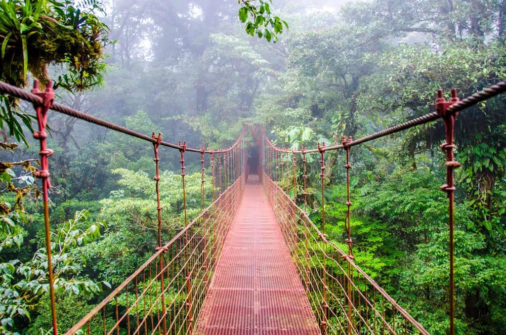 ponte em monteverde na costa rica