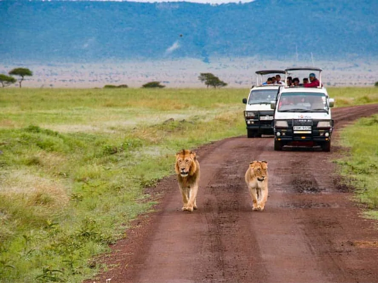 Podcast sobre viajes y safaris