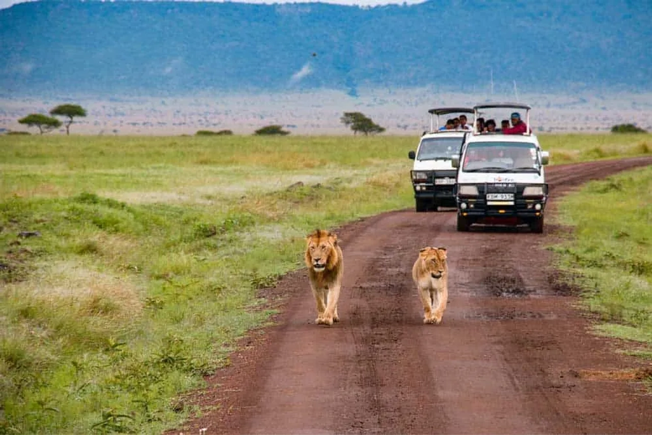 Podcast sobre viajes y safaris