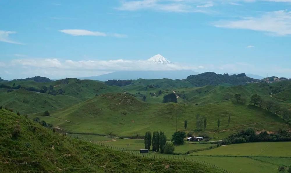Forgotten World Highway, La Carretera del Mundo Olvidado