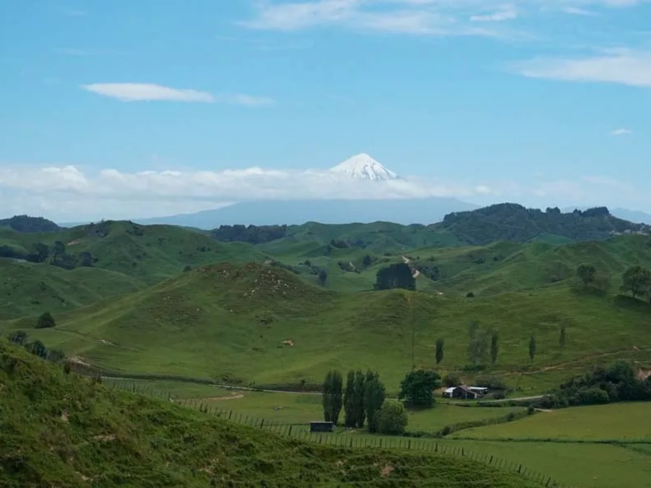 Forgotten World Highway, La Carretera del Mundo Olvidado