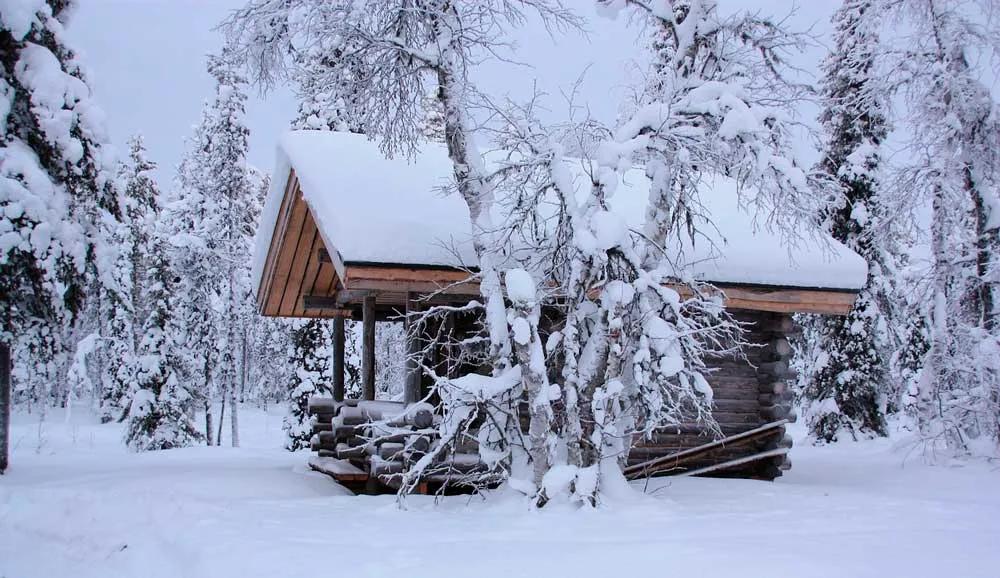 Explorar Laponia en invierno